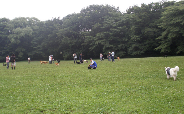 c0110361_1592344.jpg