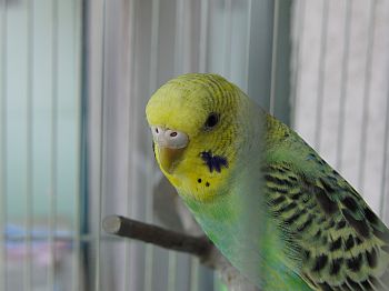 f0196665_04822.jpg
