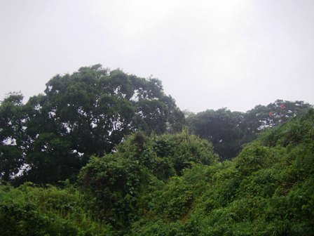 b0184272_9575338.jpg