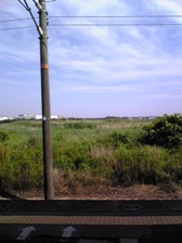 c0102375_14505528.jpg