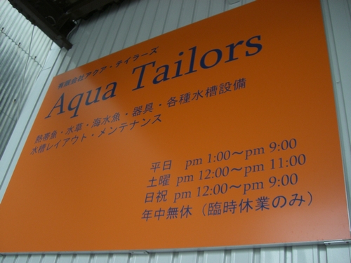 a0070478_237877.jpg