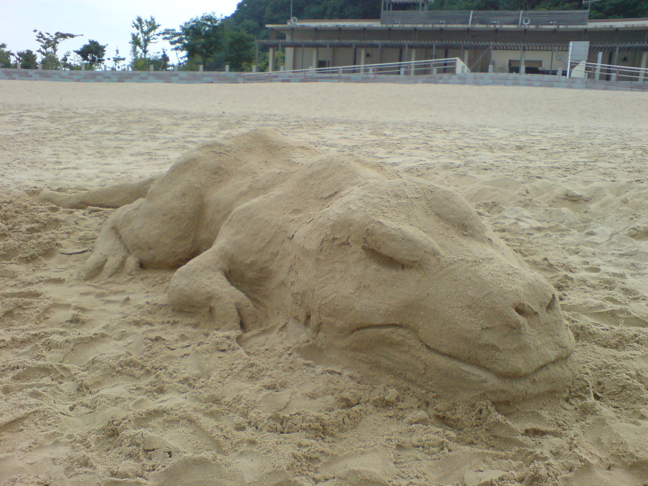 b0046478_22582763.jpg