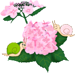 d0148980_12122516.gif