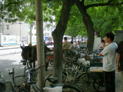 f0007580_22241688.jpg