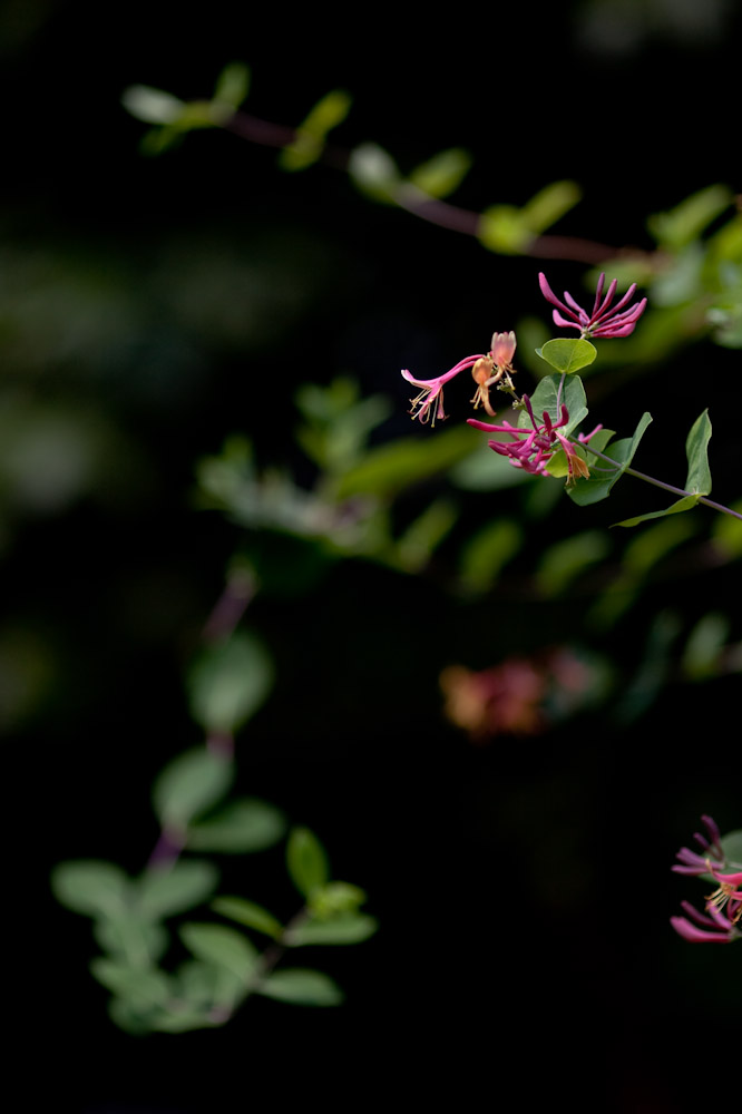 a0083081_16212490.jpg