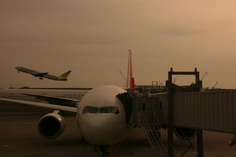 c0148781_928148.jpg