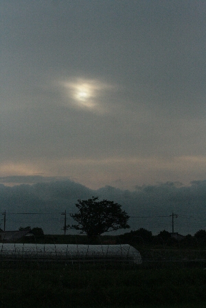 d0133693_23381071.jpg