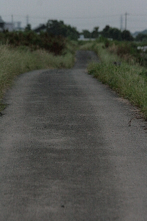 d0133693_23381649.jpg