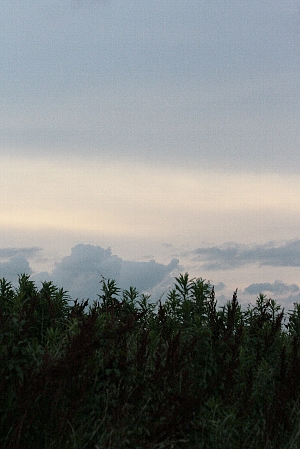 d0133693_23383991.jpg