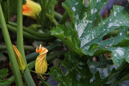 d0133693_23394168.jpg
