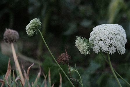 d0133693_23395435.jpg