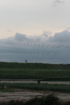 d0133693_2339562.jpg