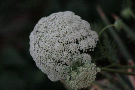 d0133693_2340045.jpg