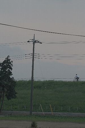 d0133693_23401292.jpg