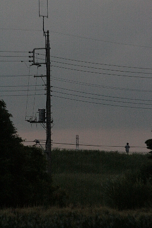 d0133693_2340688.jpg