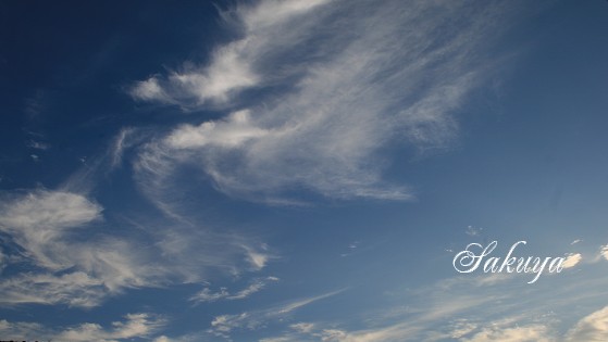 e0122194_2321818.jpg