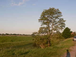 a0056401_2354976.jpg