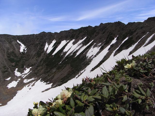 f0157901_1419216.jpg
