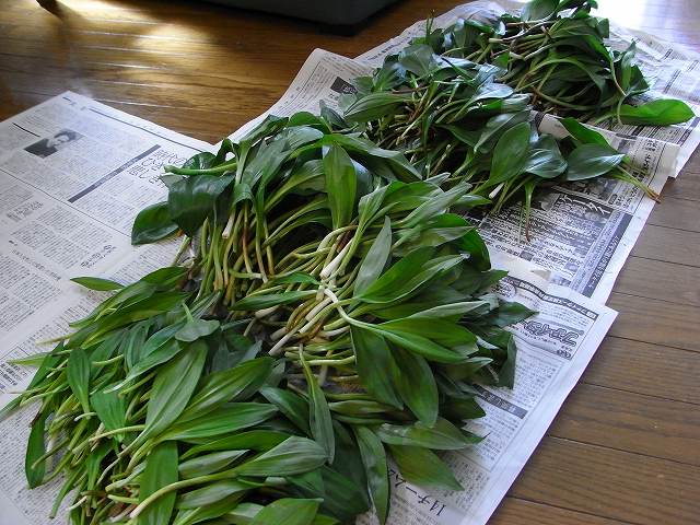 f0157901_1421477.jpg