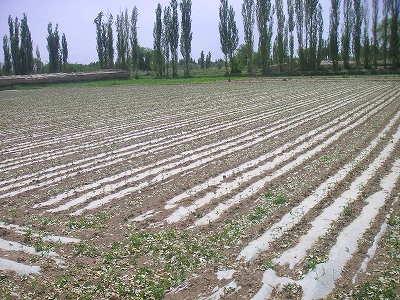 f0146802_18492221.jpg