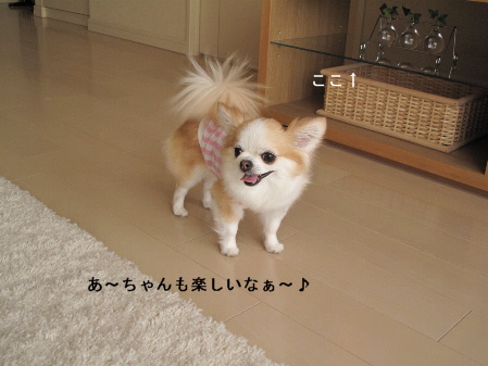 a0079803_14529100.jpg