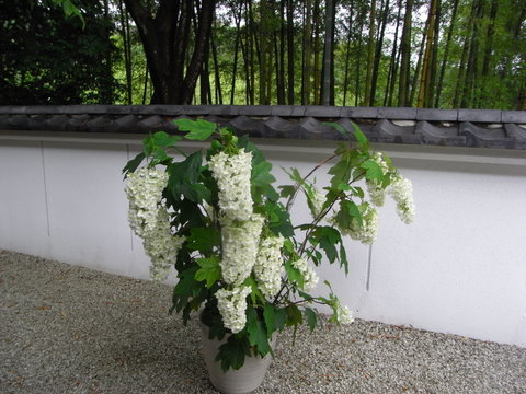 c0156703_20173138.jpg