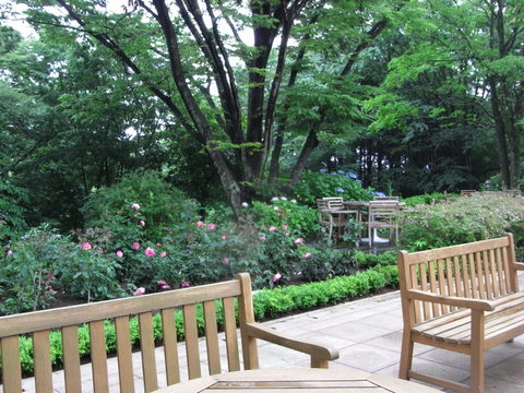 c0156703_20295832.jpg