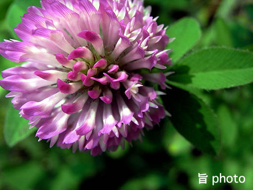 b0061004_14373662.jpg