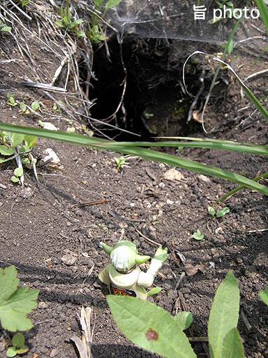 b0061004_14394916.jpg