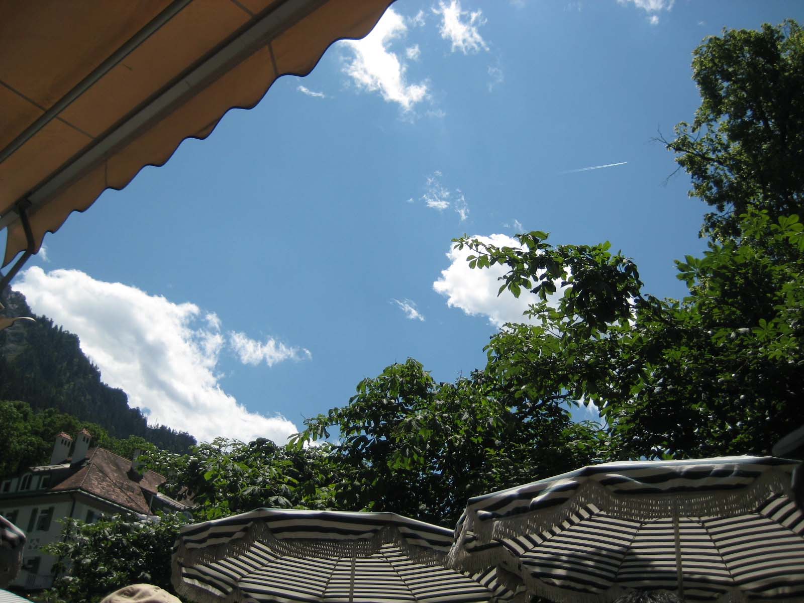 b0178006_2321984.jpg
