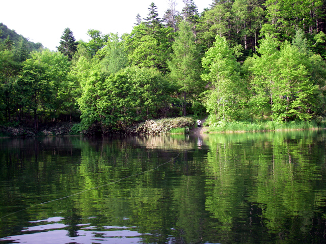 d0051707_22511972.jpg