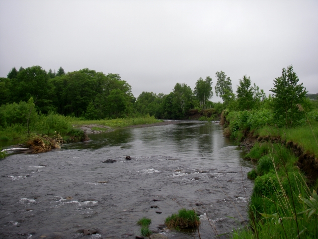 d0051707_6595432.jpg