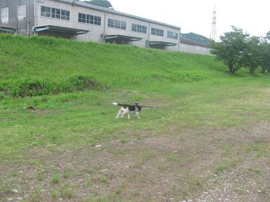 d0104209_21121332.jpg