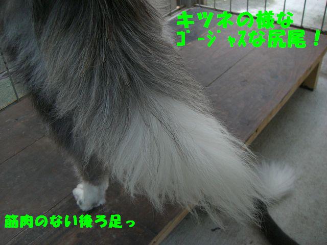 b0137913_1334736.jpg
