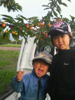 f0031013_20195229.jpg
