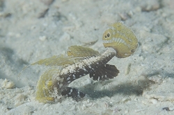 b0155916_15185097.jpg