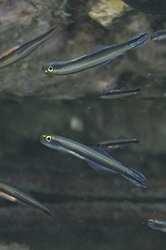 b0155916_15213540.jpg