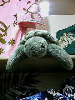 c0145016_2230117.jpg