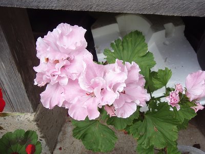 c0145016_22313973.jpg