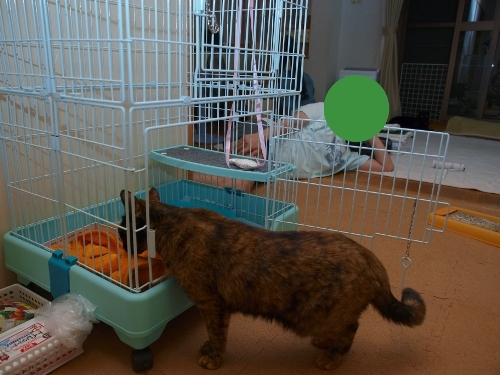 c0136217_0291435.jpg