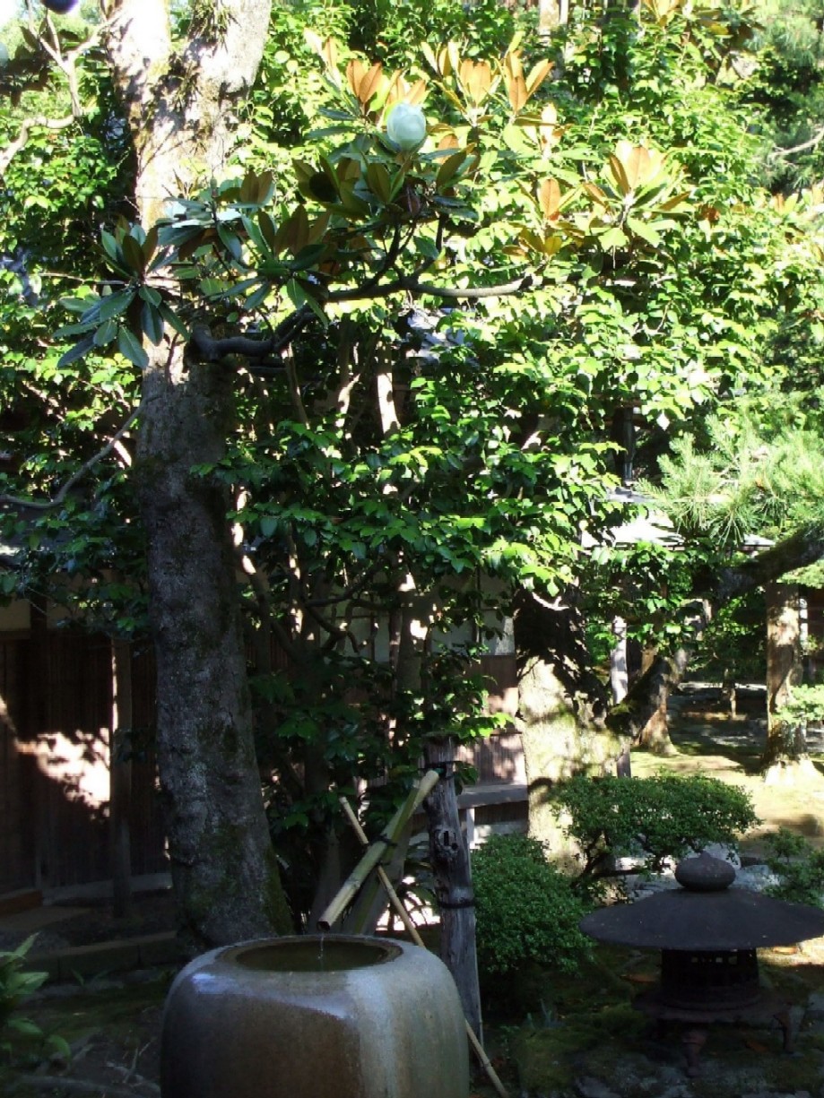 e0135219_17242770.jpg