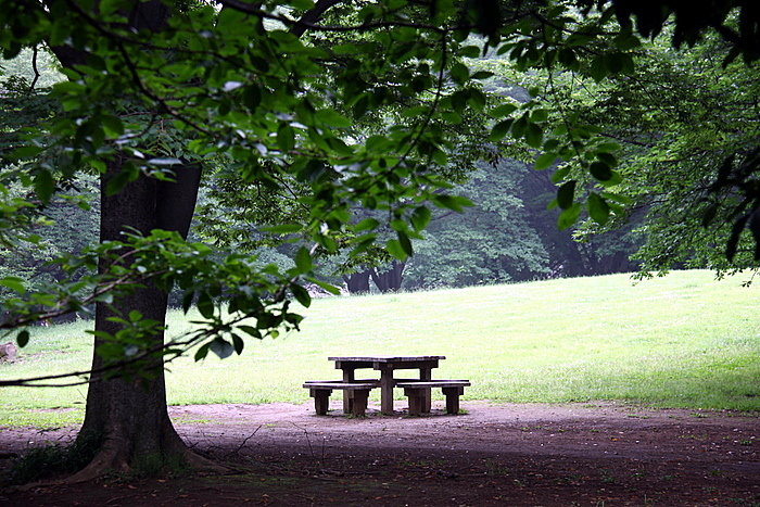 b0165522_2011358.jpg