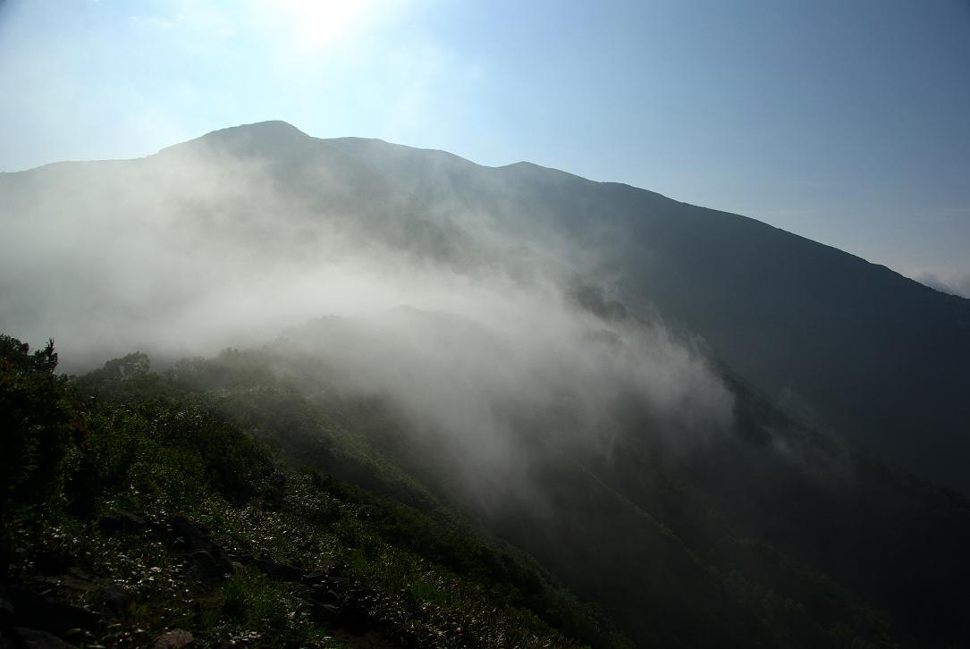 b0062024_2064190.jpg
