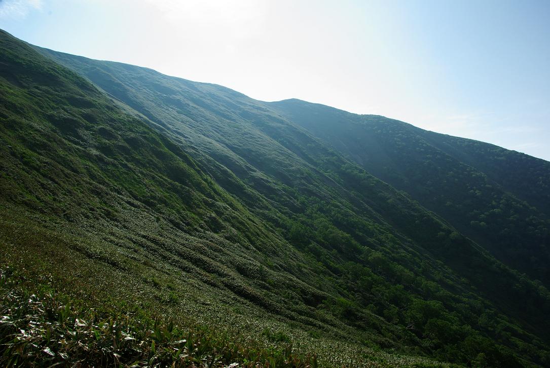 b0062024_2072373.jpg