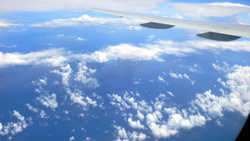 f0060424_1629234.jpg