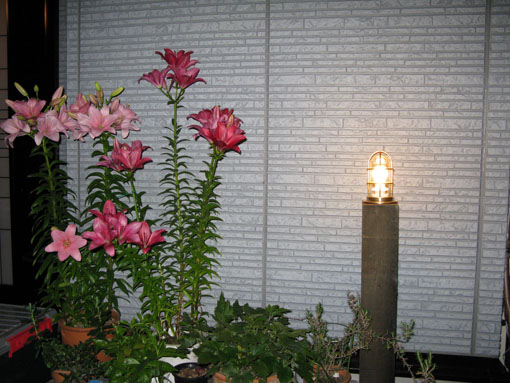 f0129726_21484427.jpg