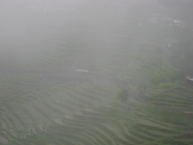 d0147727_22171744.jpg