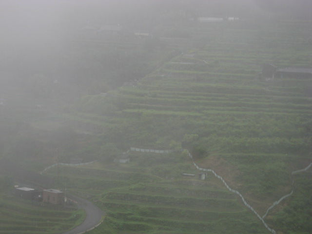 d0147727_22172992.jpg