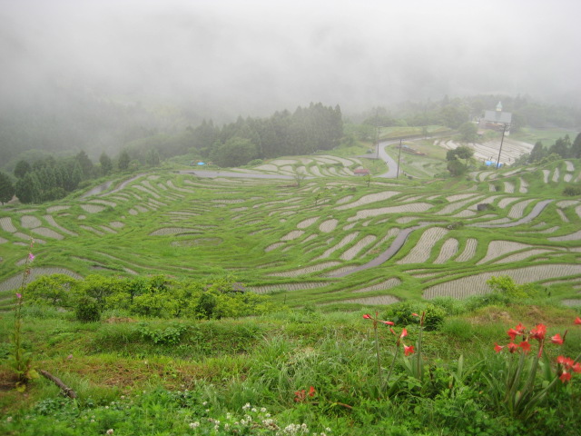 d0147727_221815.jpg