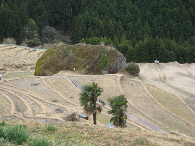d0147727_22235714.jpg